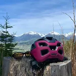 Alpenchalet Mitterberg * Мариапфар