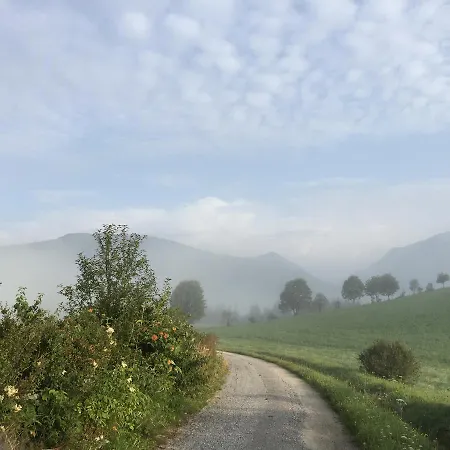 Alpenchalet Mitterberg Chalet *