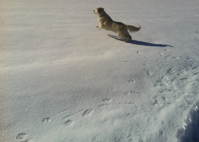 Alpenchalet Mitterberg Mariapfarr