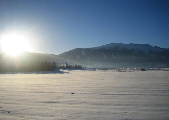 Alpenchalet Mitterberg