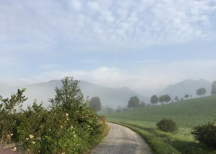 Alpenchalet Mitterberg Chalé *
