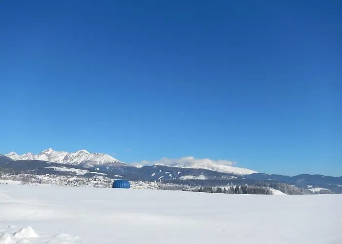 Alpenchalet Mitterberg Dağ evi