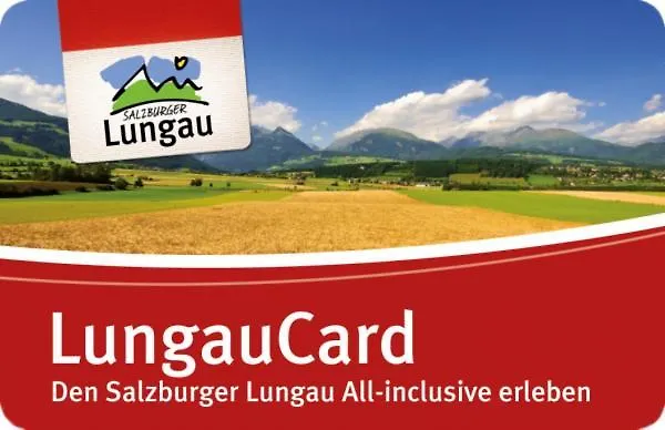 Alpenchalet Mitterberg Mariapfarr